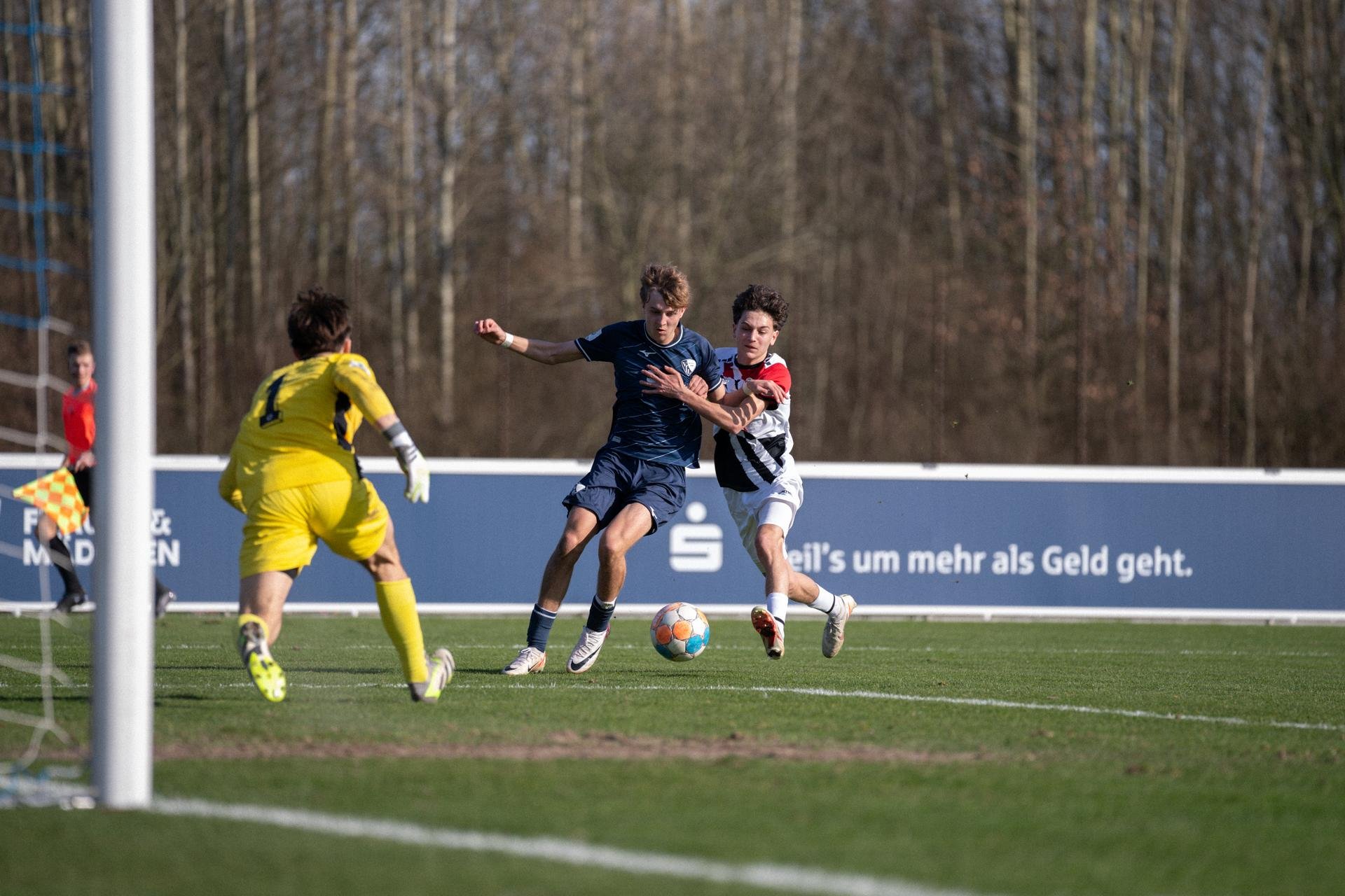 U17 vs. Viktoria Köln | VfL Bochum 1848 